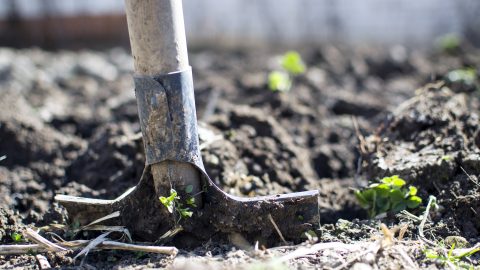 Woordenlijst moestuin